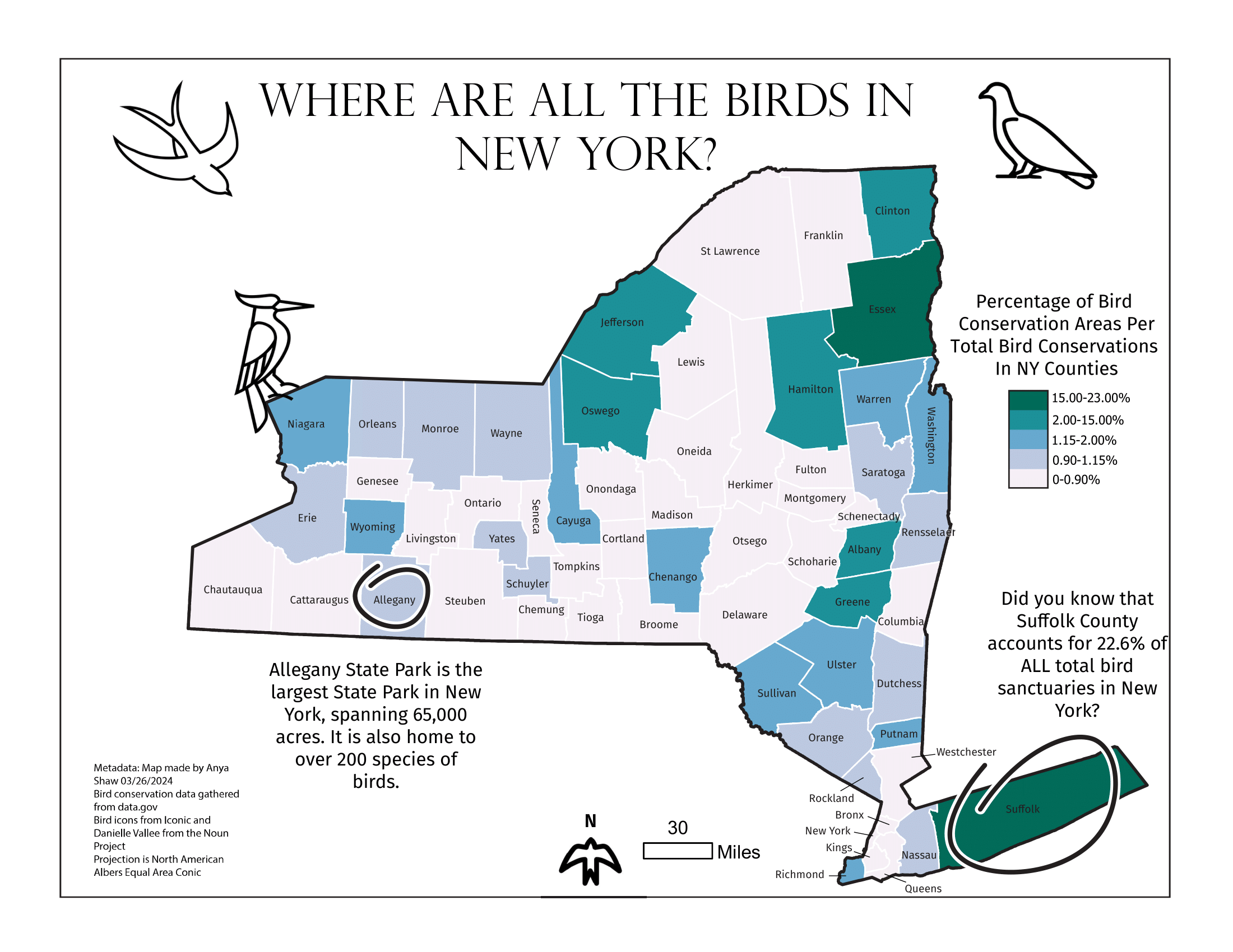 Birds in New York